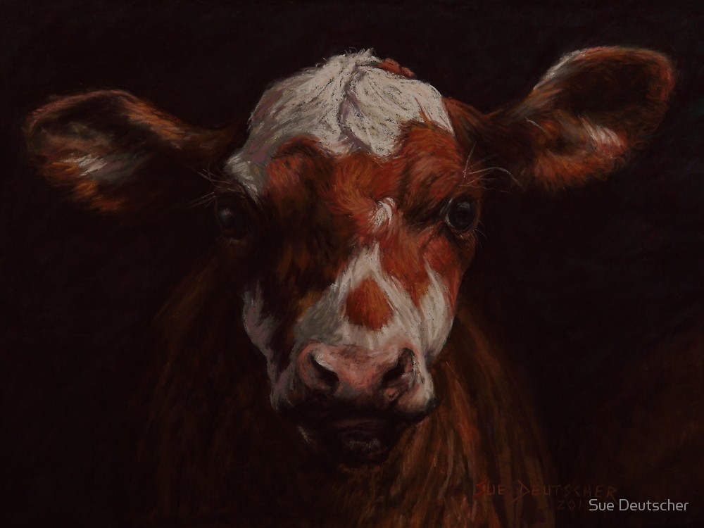 1000x750 Calf Cow Pastel Painting By Sue Deutscher Redbubble - Pastel Cow Painting