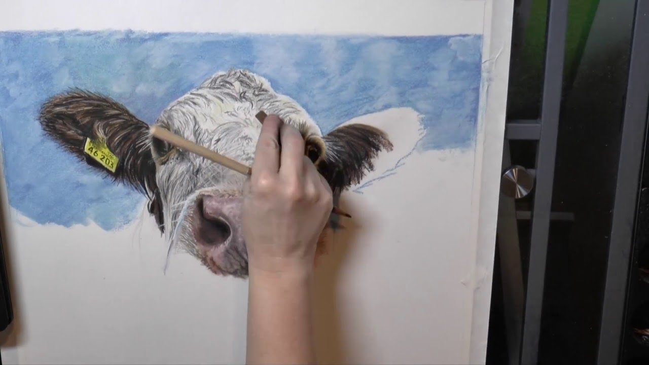 1280x720 Drawing Sophie The Cow - Pastel Cow Painting