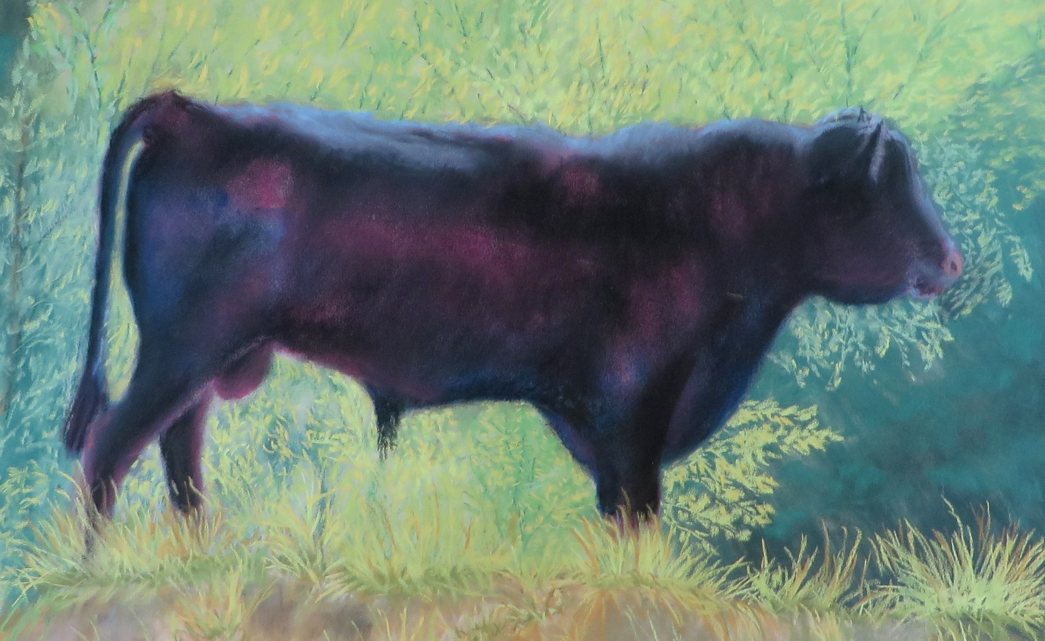 2030x1245 Fall Paintings My Black Cow Work Floyd Day Pastel Artist - Pastel Cow Painting