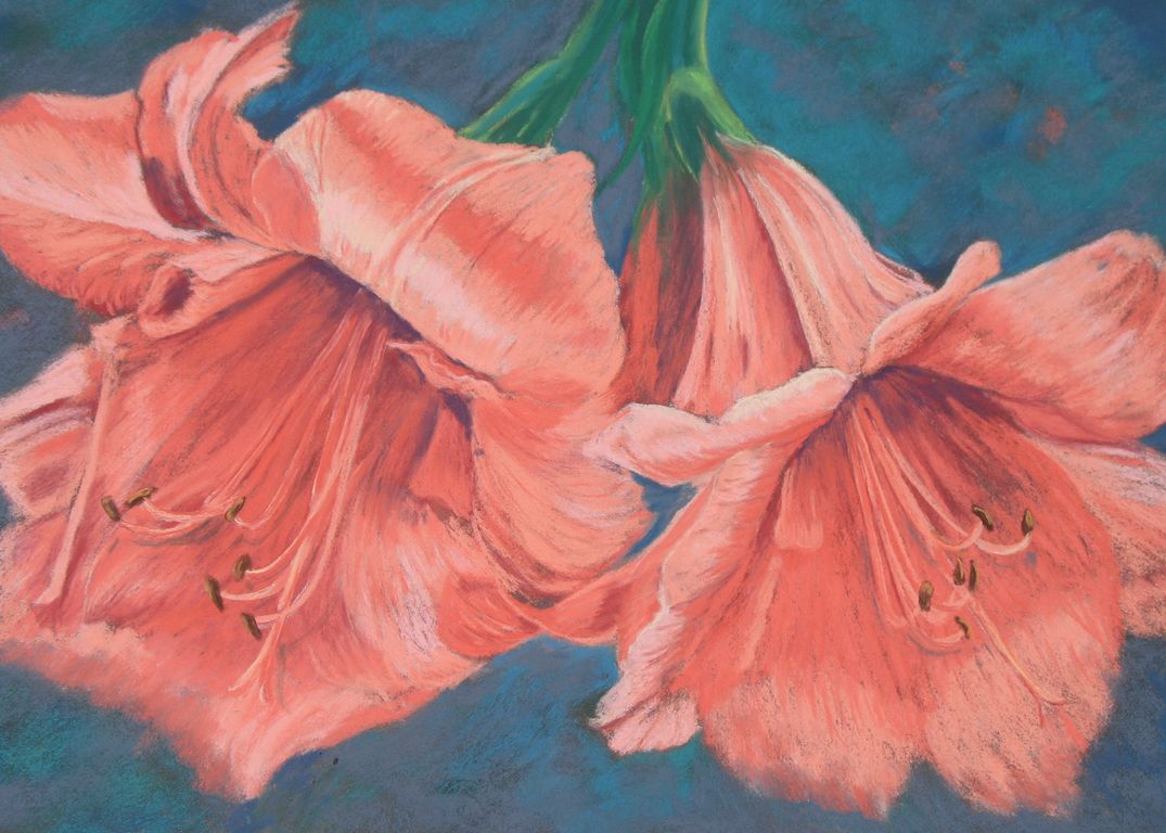 1075x768 Marion's Floral Art Blog Peach Amaryllis In Soft Pastels - Pastel Flower Painting