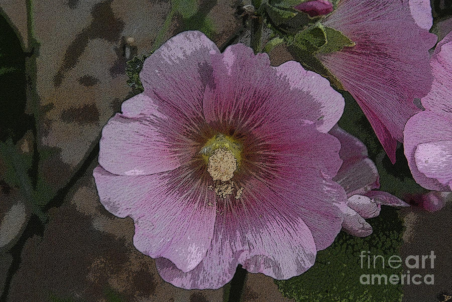 900x602 Pastel Flower Painting By David Lee Thompson - Pastel Flower Painting