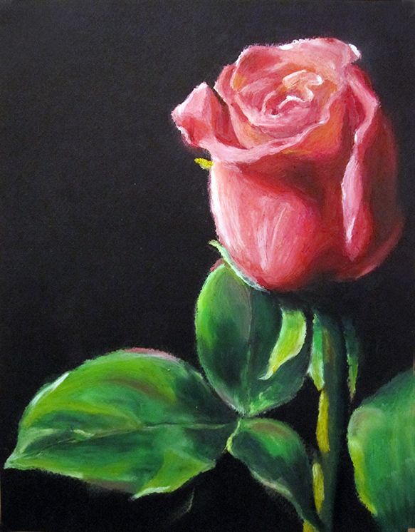 583x746 Oil Pastel Paintings Oil Pastels Flower Rose - Pastel Flower Painting