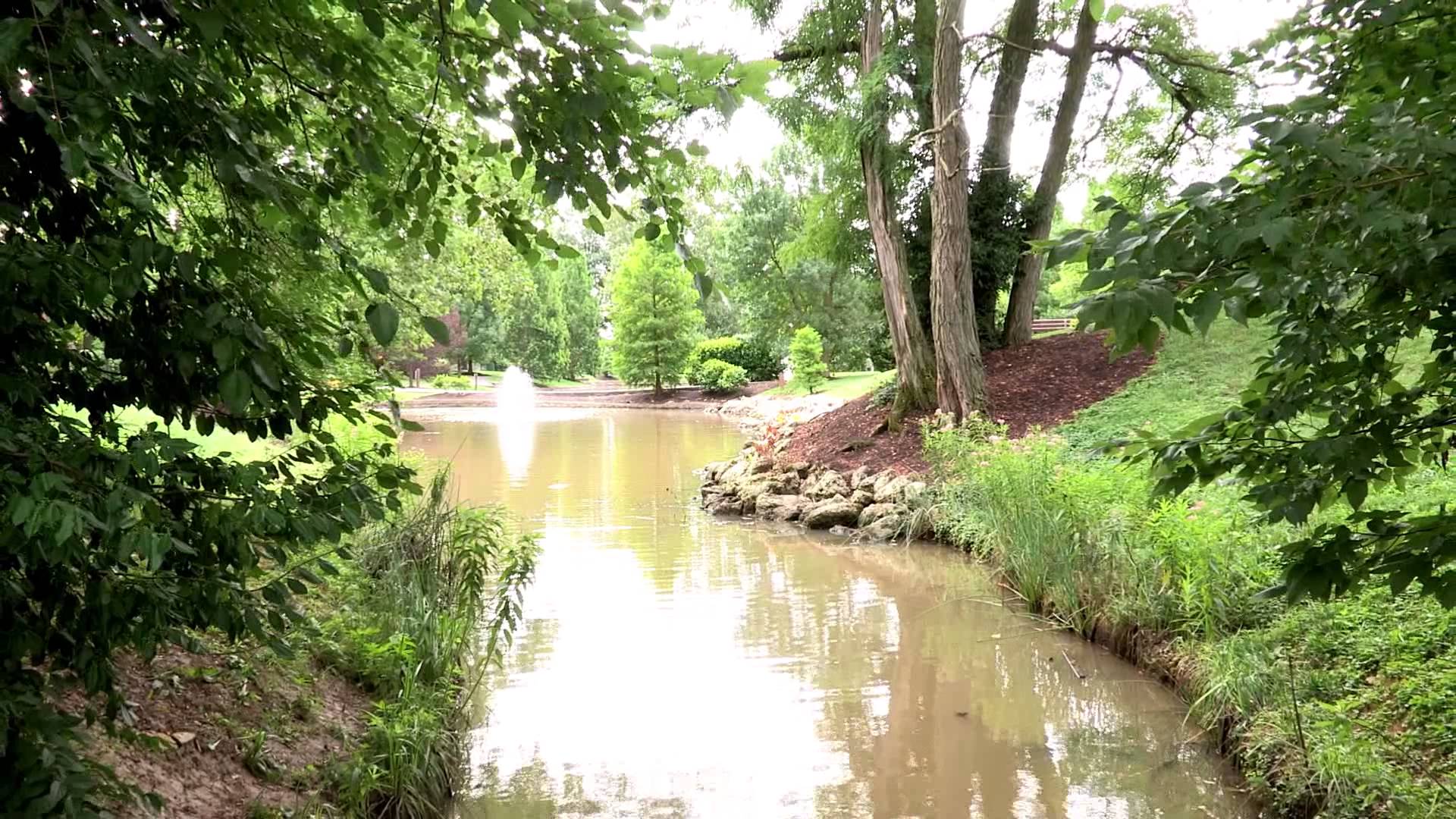 1920x1080 Preview Landscape Painting In Pastel Plein Air With Liz Haywood - Pastel Landscape Painting