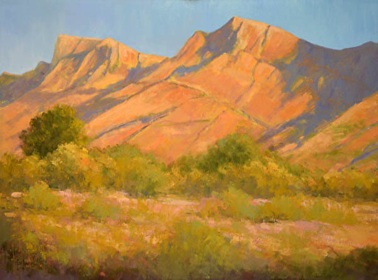 550x407 Barbara Churchley Fine Art Contemporary Pastel Landscape Painting - Pastel Landscape Painting