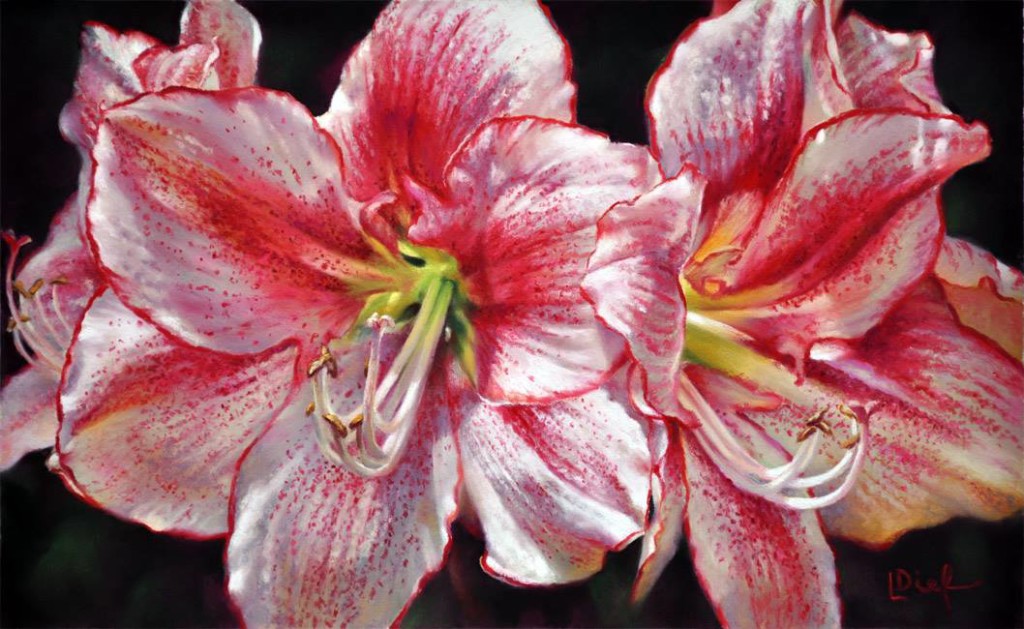 1024x629 Featured Pastel Artist Lyn Diefenbach Soft Pastel News - Pastel Painting Artists