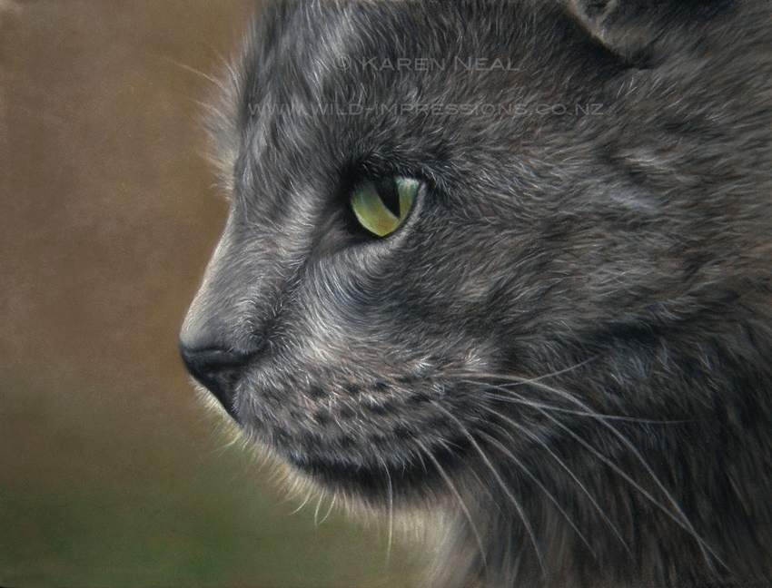 Pastel Painting Artists at Explore collection of