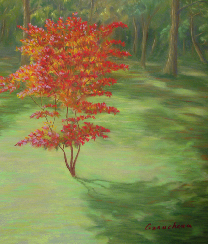 429x504 The Color Maple, Landscape Painting Of A Japanese Red Maple - Pastel Painting Colors