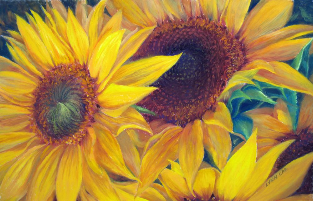 1000x643 Pastel Drawn Sunflowers Flowers Sunflowers Pastel Painting 18 X - Pastel Painting Images