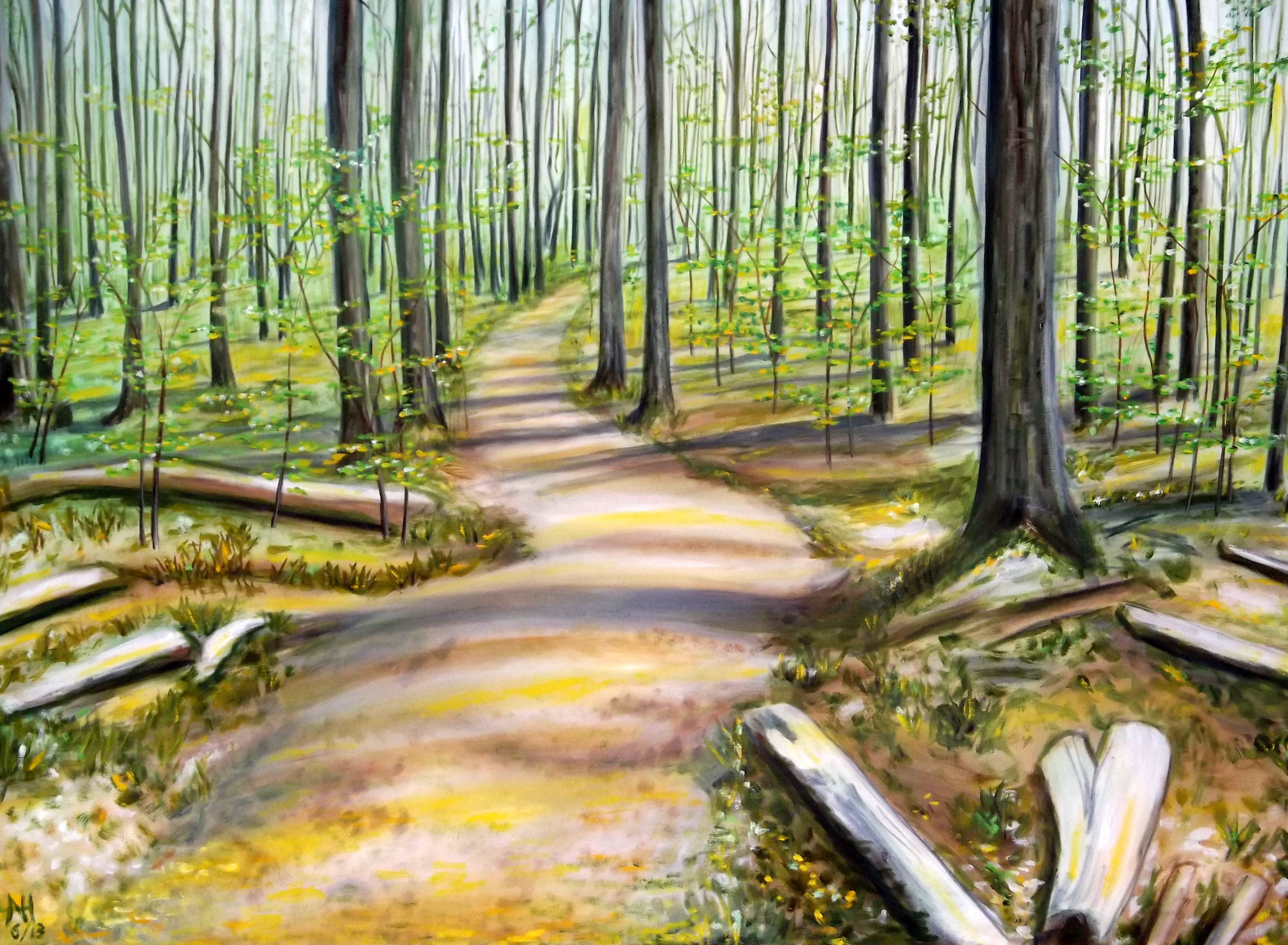 4282x3142 Painting Path In The Woods Norbert Haupt - Path Painting