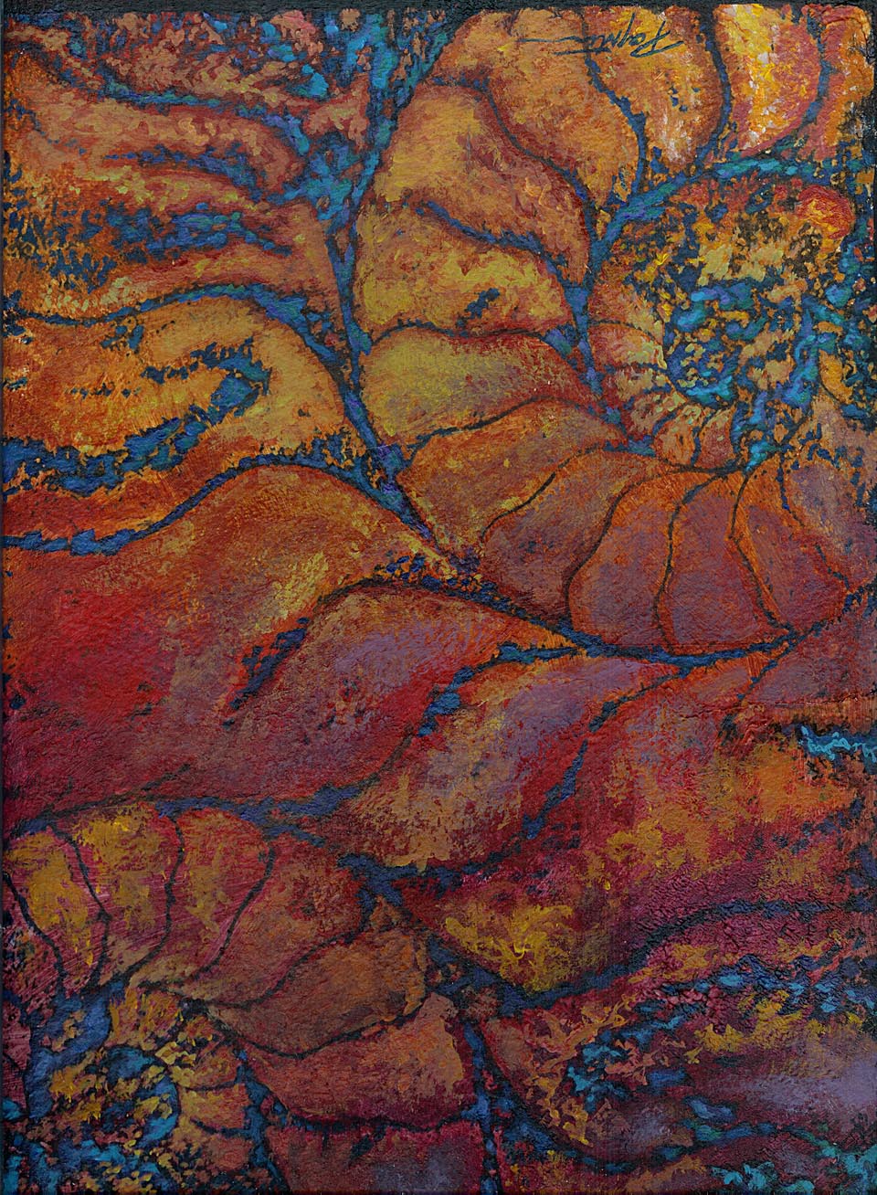 960x1308 Natural Patterns Jan Poynter Fine Art And Amp Illustration - Pattern Painting