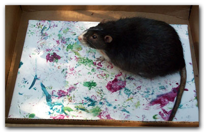 404x262 Paw Painting By Rats - Paw Painting