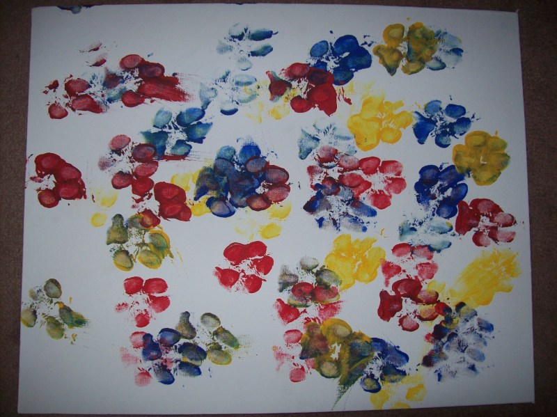 800x599 Paw Print Paintings - Paw Painting