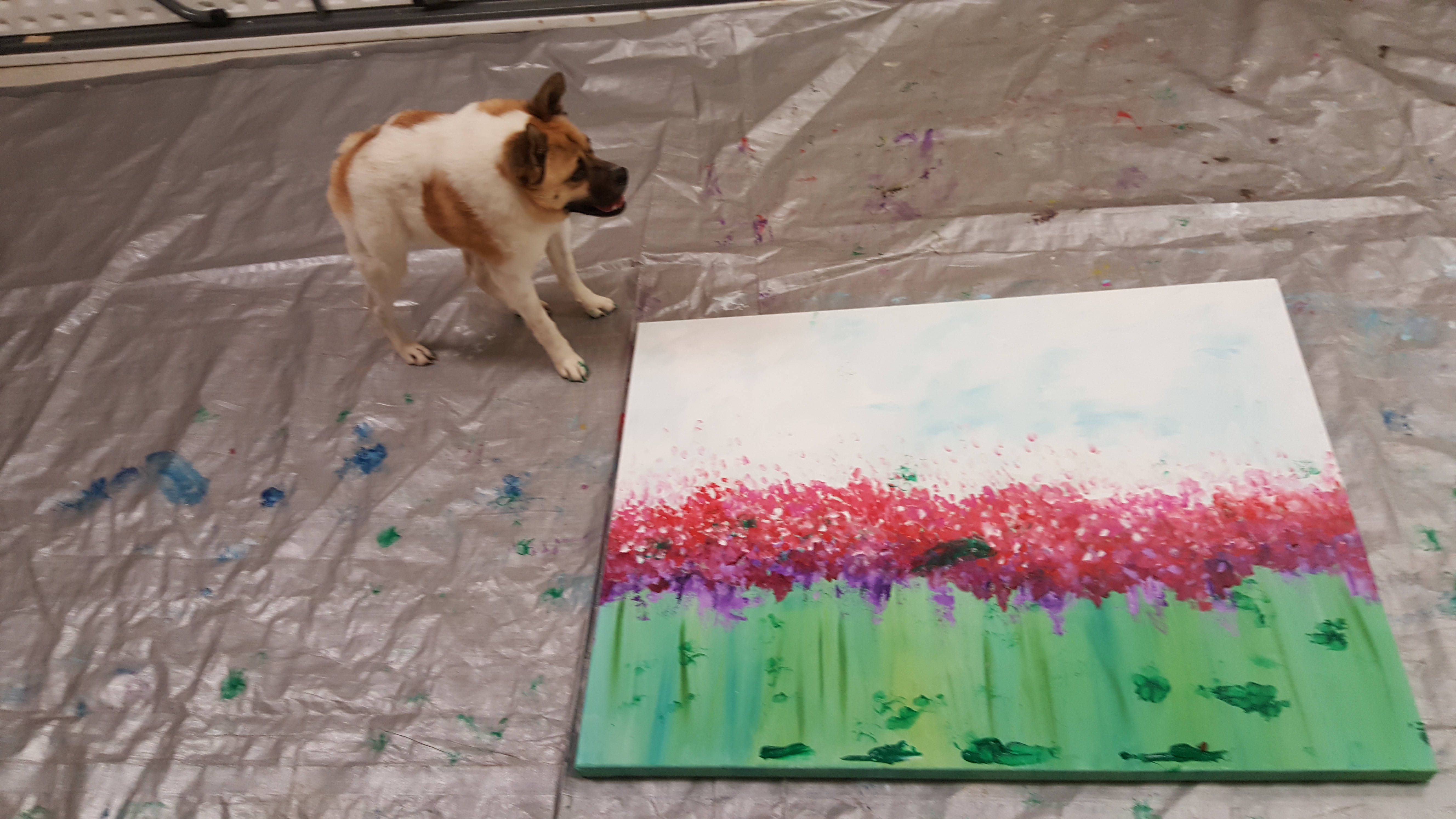 5312x2988 Pig The Unusual Dog Paints For Hand In Paw's Picasso Pets Animal - Paw Painting