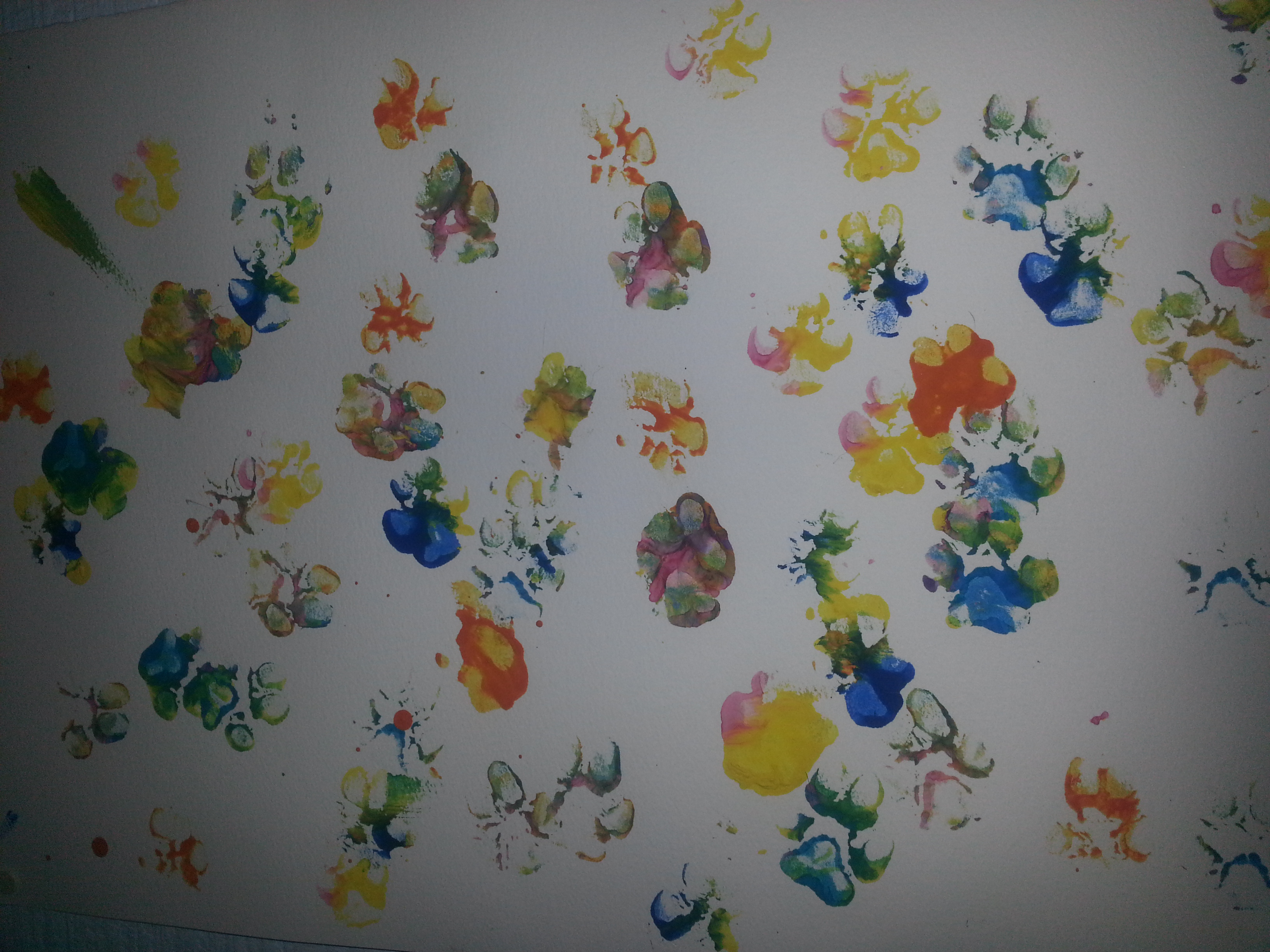 3264x2448 F.e.t.c.h The Dock Days Of Summer, June 28th 2014 - Paw Painting With Dogs