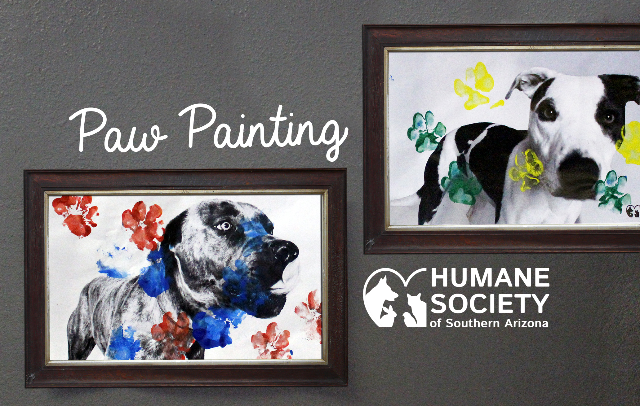 2064x1311 Paw Print Painting With Shelter Dogs - Paw Painting With Dogs
