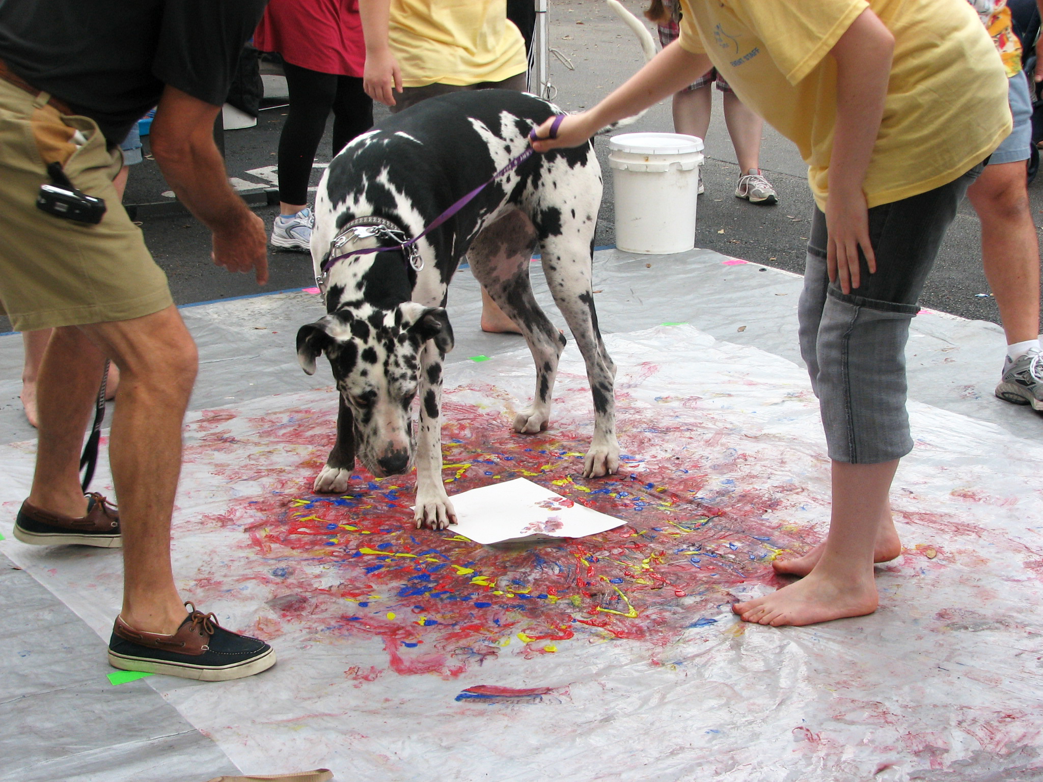 2048x1536 What's In A Handshake The Art Guys Agree On Painting, Again - Paw Painting With Dogs