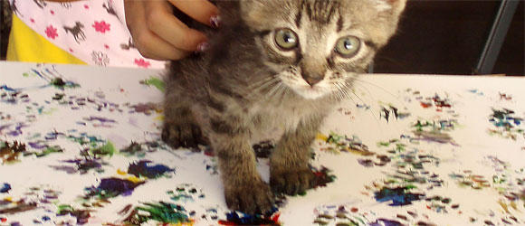 580x250 Art Goes To The Dogs Cats And Critters Piatt County Journal - Paw Painting With Dogs