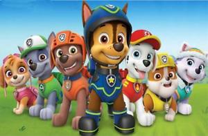 300x197 5d Diamond Painting Paw Patrol Kit Ebay - Paw Patrol Painting