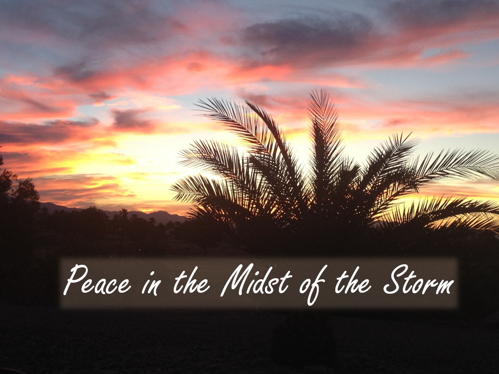 1000x750 Peace In The Midst Of The Storm Faith, Farm Amp Family Table - Peace Painting Bird Storm