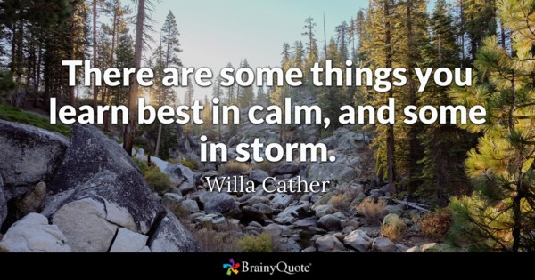 600x315 Storm Quotes - Peace Painting Bird Storm