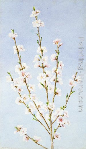 300x520 John William Hill Peach Blossoms Painting Anysize 50% Off - Peach Blossom Painting
