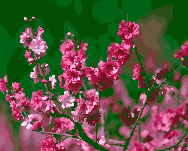 640x512 Mahuaf I156 Beautiful Peach Blossom Flowers Wall Art Picture - Peach Blossom Painting