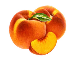 250x208 Peach Paintings - Peach Painting
