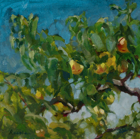 470x469 Peach Tree - Peach Tree Painting