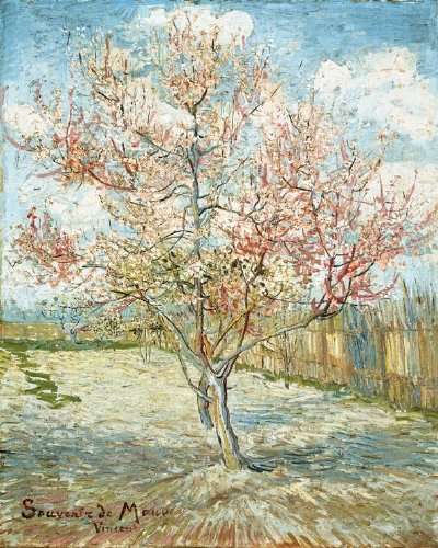 400x500 Peach Trees In Blossom (Souvenir De Mauve) By Vincent Van Gogh - Peach Tree Painting