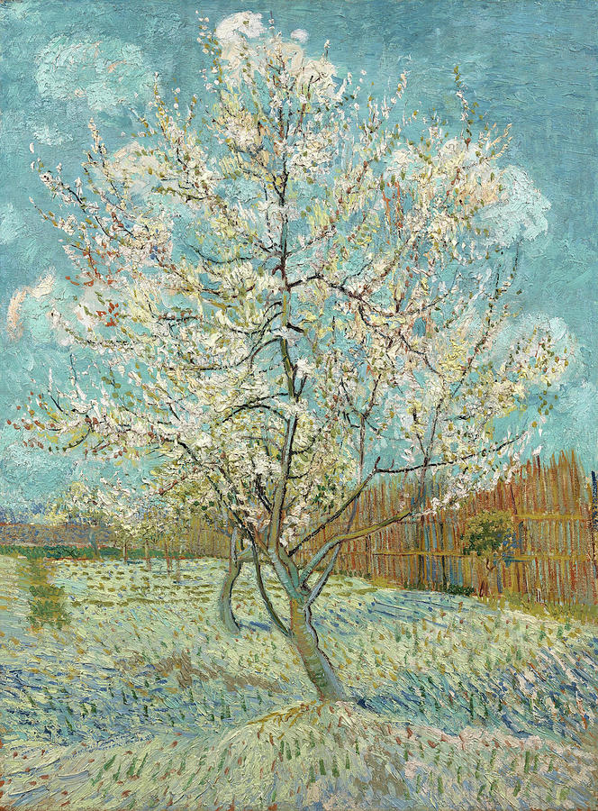 664x900 The Pink Peach Tree Painting By Vincent Van Gogh - Peach Tree Painting