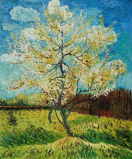 433x520 Pink Peach Tree Painting - Peach Tree Painting