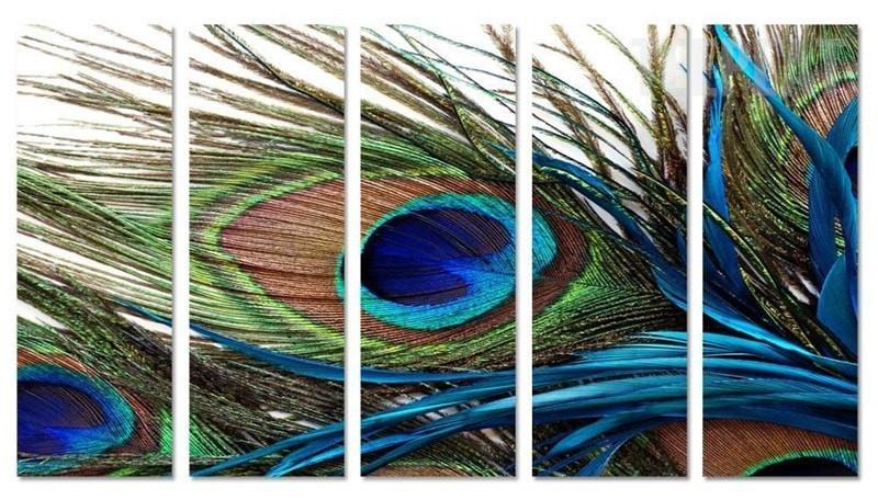 800x456 Peacock Feather Painting - Peacock Feather Painting