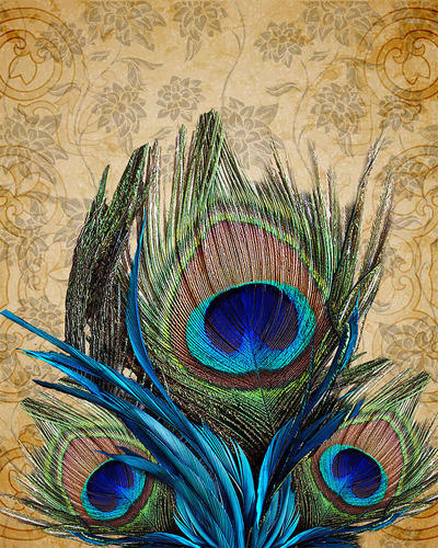 400x500 Peacock Feather Painting - Peacock Feather Painting