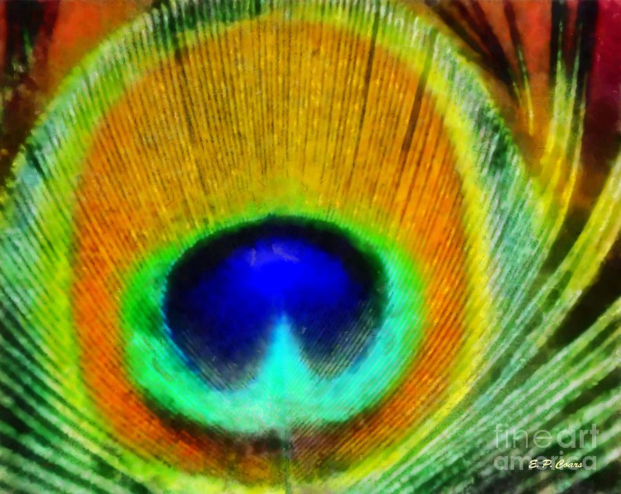 900x716 Peacock Feather Painting By Elizabeth Coats - Peacock Feather Painting