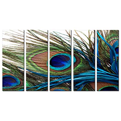 Peacock Feather Painting at PaintingValley.com | Explore collection of ...