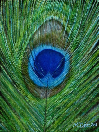 319x425 My Peacock Feather Painting - Peacock Feather Painting