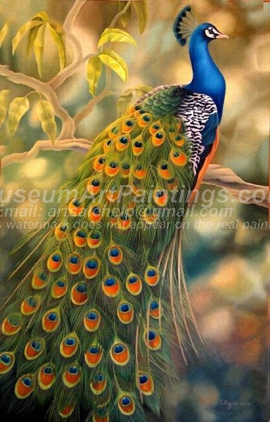 384x600 Peacock Oil Paintings 020 - Peacock Oil Painting