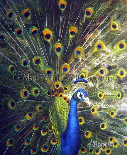 433x525 A Magnificent Peacock - Peacock Oil Painting