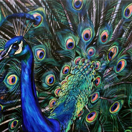 458x458 Peacock Painting Ivy Bath - Peacock Painting