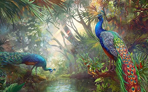 500x313 Digital Painting Peacock Birds In Indian Village Nice Painting - Peacock Painting
