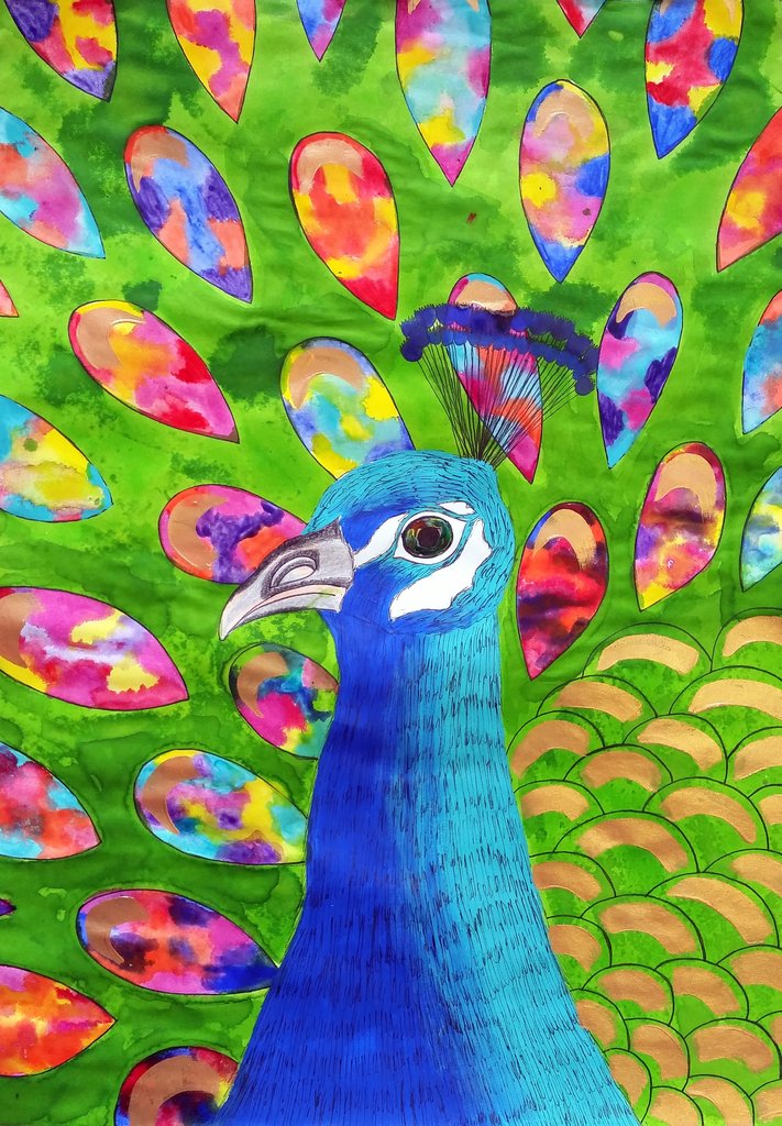 711x1024 Peacock Full Day Kids Intensive Art Workshop 2 - Peacock Painting For Kids