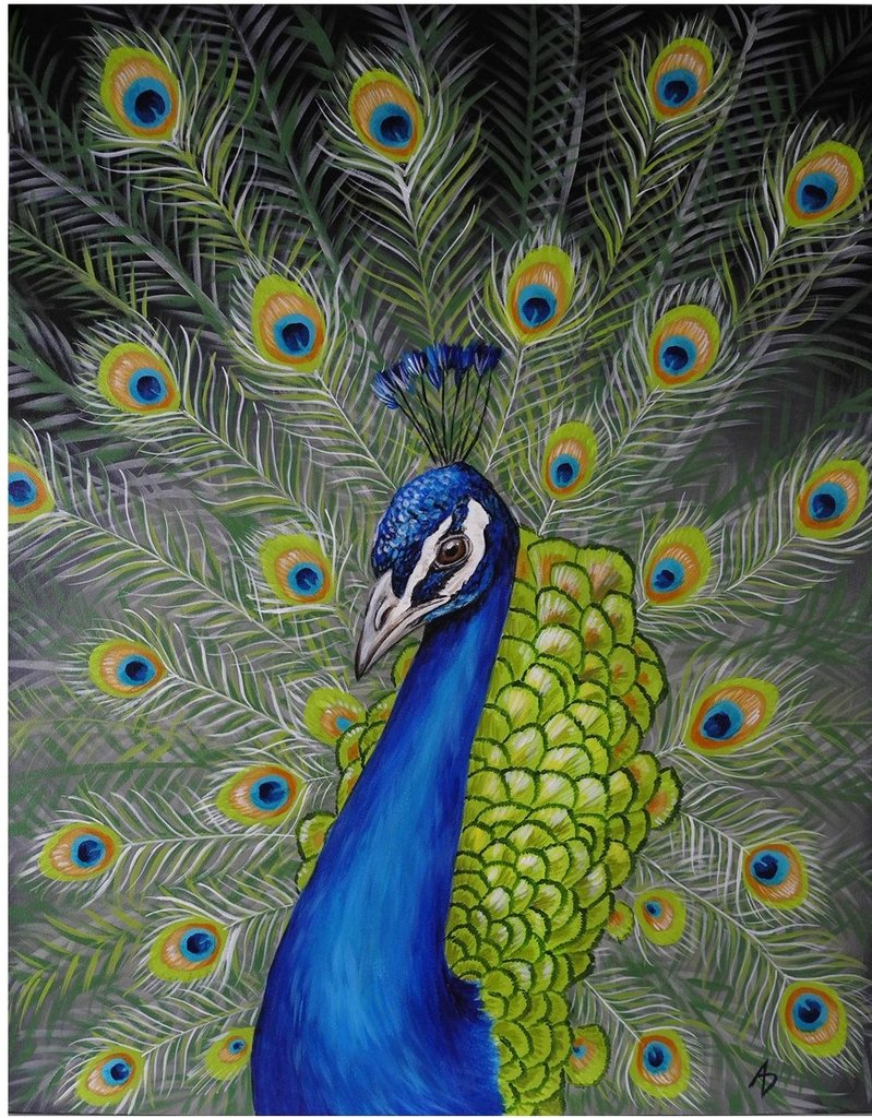 Peacock Painting On Canvas at PaintingValley.com | Explore collection ...