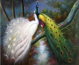 300x249 China Oil Painting Peacock Partner - Peacock Painting On Canvas