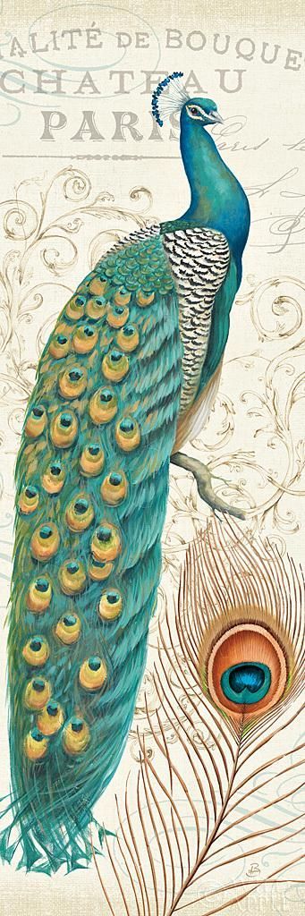 341x1024 Majestic Beauty I Vintage Art, Peacocks And Peacock Art - Peacock Painting Vintage