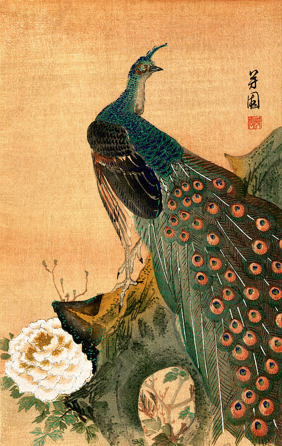 570x900 19th C. Japanese Peacock Painting By Historic Image - Peacock Painting Vintage