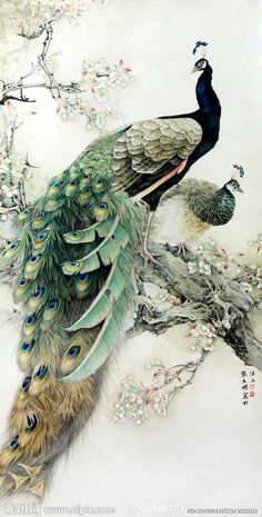 236x465 Vintage Japanese Peacock Painting Japanese Art - Peacock Painting Vintage