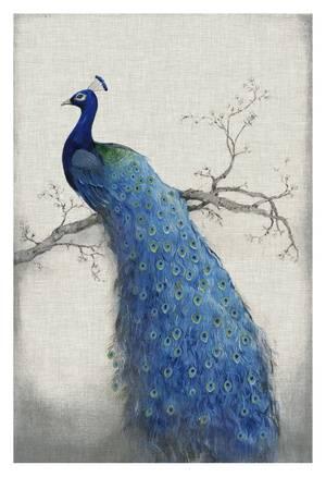 300x450 Beautiful Peacocks Artwork For Sale, Posters And Prints - Peacock Painting Vintage