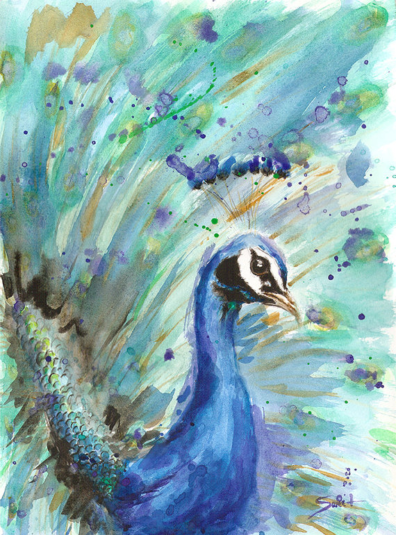 570x770 Peacock Art Print - Peacock Painting Watercolor
