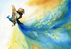 236x161 Peacock Watercolor Home Decor That I Love Peacock - Peacock Painting Watercolor