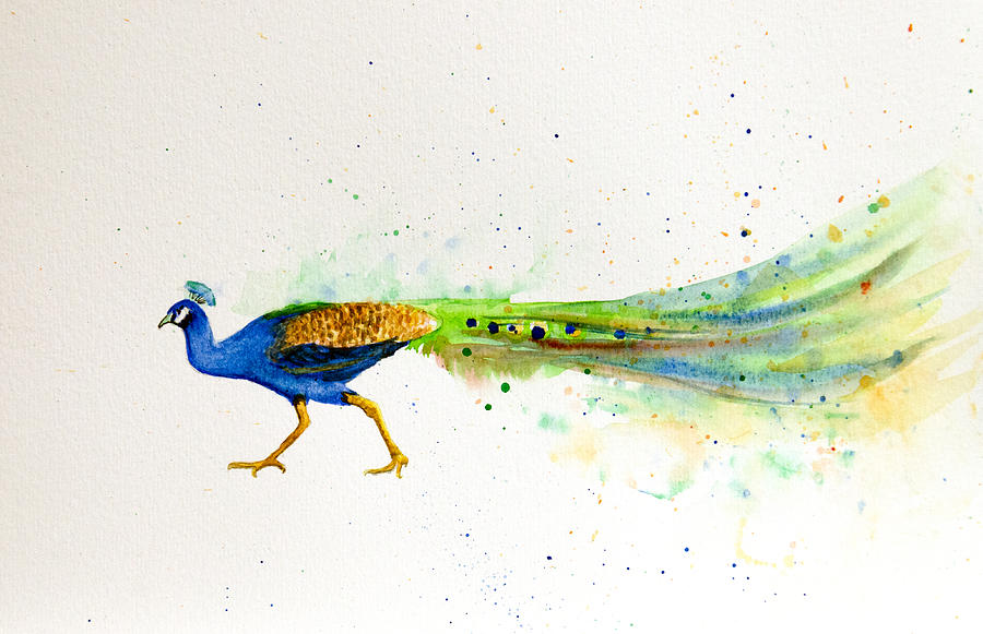 900x581 Peacock Watercolor Painting Painting By Deb Breton - Peacock Painting Watercolor
